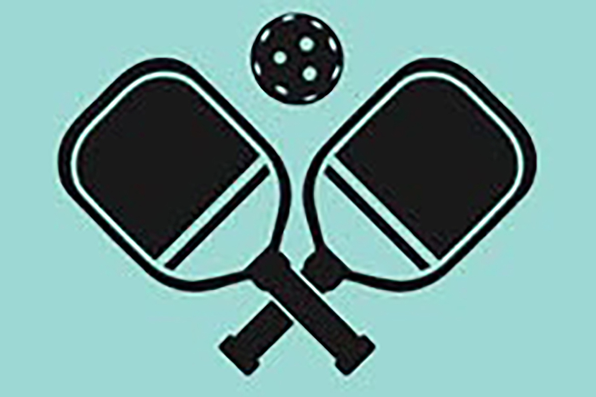 pickleball paddles icon